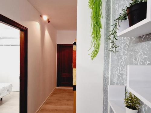 Nicole, 2 bedrooms apartment in Playa de las Américas
