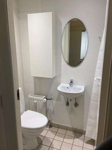 een badkamer met een toilet, een wastafel en een spiegel bij City Apartments 114 in Kopenhagen