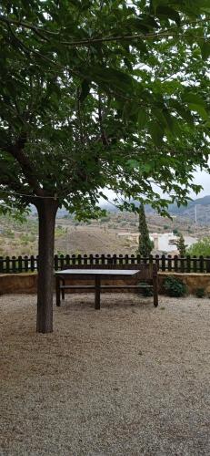 a park bench sitting under a tree in a park at Casa Cueva El Almendro in Pegalajar