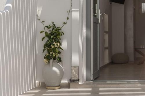 a white vase with a plant in it on a wall at Agathi's House in Triovasálos