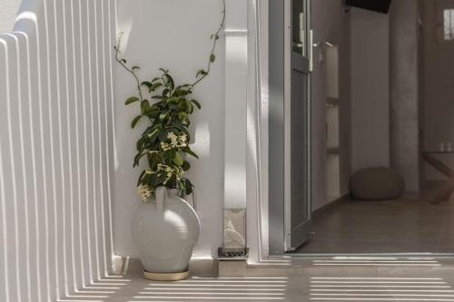 a white vase with a plant in it on a wall at Agathi's House in Triovasálos