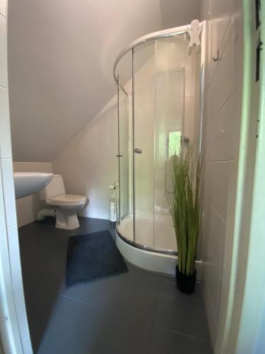 ミスワコビツェにあるDomek Karinkaのバスルーム(ガラス張りのシャワー、トイレ付)