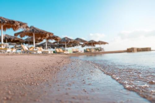 a sandy beach with umbrellas and the ocean at Lemon & Soul Makadi Garden in Hurghada