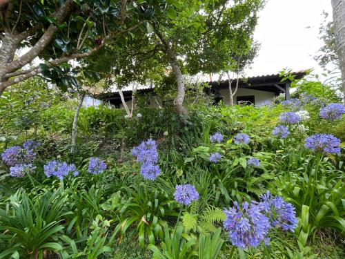 a garden with purple flowers in front of a house at Casas de Campo do Pomar B&B - Self Check-in in Santana