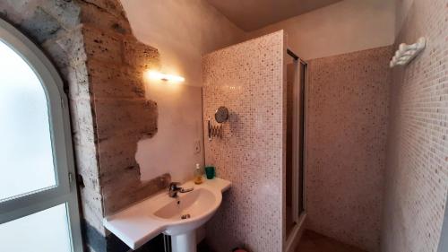 ein Bad mit einem Waschbecken und einer Dusche in der Unterkunft Relais du Noble Voyageur in Brioude