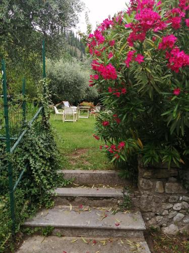 a garden with pink flowers and a gate and stairs at Ostello delle cartiere in Toscolano Maderno