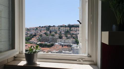 una finestra con una pianta in vaso seduta sul davanzale di una finestra di Apartment Carrington a Dubrovnik