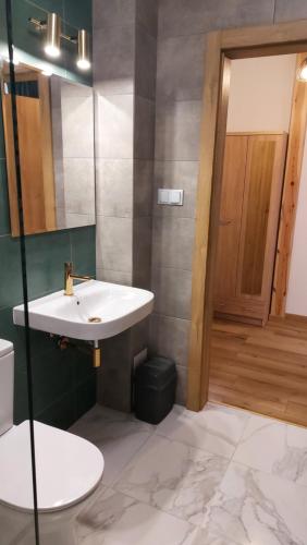 een badkamer met een wastafel, een toilet en een spiegel bij Villa Nova in Szuminka