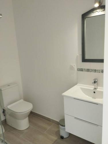 une salle de bain blanche avec des toilettes et un lavabo dans l'établissement Chambre privée de charme, à Caromb