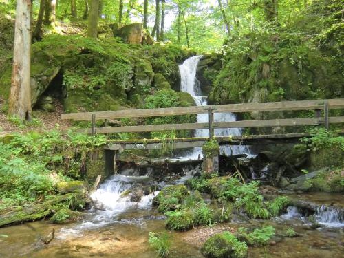 a wooden bridge over a creek with a waterfall at Kandelbleibe in Waldkirch