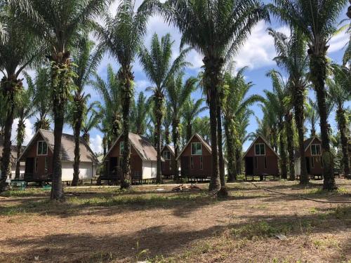 a row of palm trees in front of houses at 仙本那中梁度假庄园 ZhongLiang Holiday Garden Semporna in Semporna