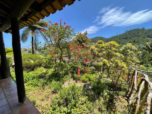 a view of a garden from the porch of a house at Casas de Campo do Pomar B&B - Self Check-in in Santana