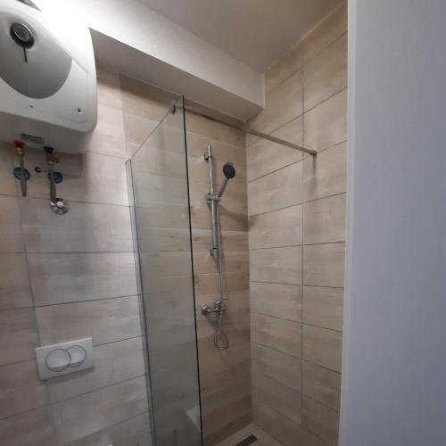 a bathroom with a shower with a glass door at Apartments Matkovic in Vir
