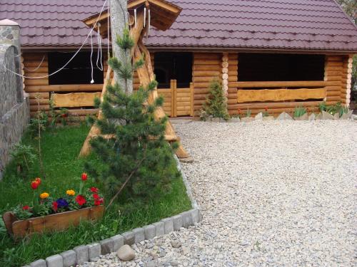 a christmas tree in a yard in front of a log cabin at Glanz in Yaremche