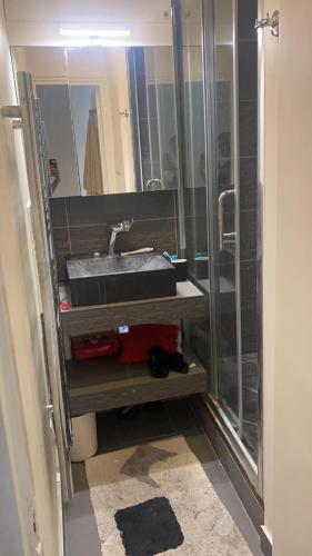 une salle de bain avec un lavabo et une douche dans l'établissement Bel appartement Montparnasse 70m2, à Paris