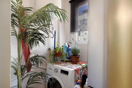 Φωτογραφία από το άλμπουμ του Sabor a Hogar y Más σε Cho