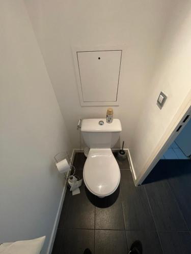 a bathroom with a white toilet in a room at T5 4 chambres Gratte ciel, Villeurbanne, meublé in Villeurbanne