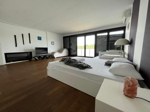 TV a/nebo společenská místnost v ubytování Floating Zen House