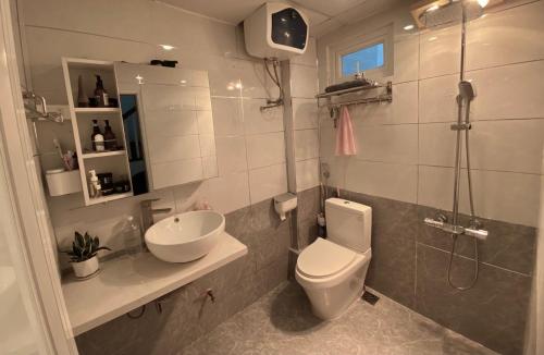 La salle de bains est pourvue de toilettes, d'un lavabo et d'une douche. dans l'établissement Green Homestay, à Hanoï