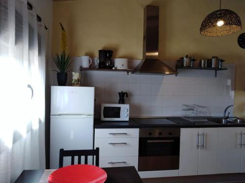 uma cozinha com um frigorífico branco e um micro-ondas em Moli 2 em Torroella de Montgrí