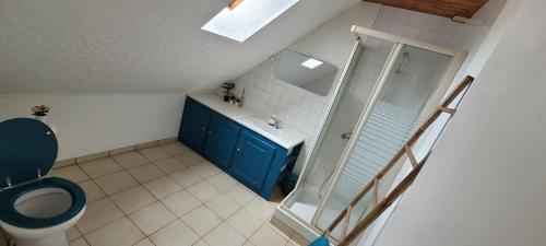 La salle de bains est pourvue d'une douche et de toilettes bleues. dans l'établissement Agréable Gîte proche du ZOO de Beauval et des chateaux3, à Selles-sur-Cher