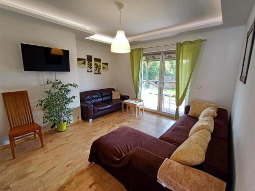 ein Wohnzimmer mit einem Sofa und einem TV in der Unterkunft Krasnobród Dom Całoroczny in Krasnobród