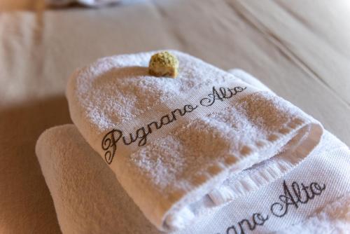 a persons hand holding a towel with a cookie on it at Pugnano Alto - appartamento Tabacco in Lisciano Niccone