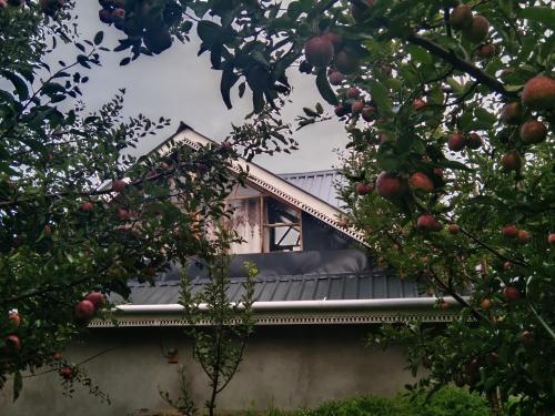 uma casa com uma janela no telhado com árvores em Rai Desh Cottages em Shimla