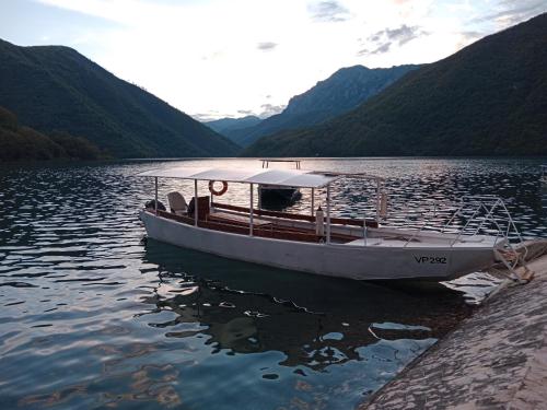 a boat on a lake with mountains in the background at Studio Apartman D&S in Pluzine