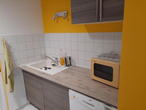 une petite cuisine avec un évier et un micro-ondes dans l'établissement Gîte de Lussan, à Pleine-Selve