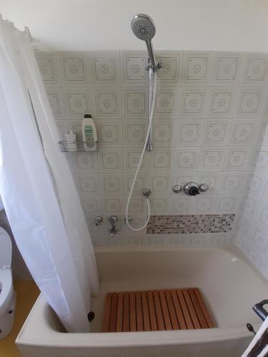 d'une baignoire avec douche et rideau de douche. dans l'établissement Casa Porciatti, à Grosseto