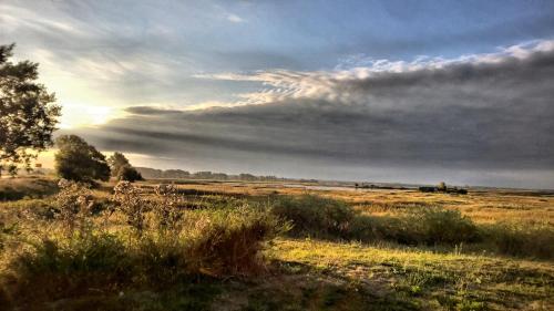 ein Grasfeld mit wolkigem Himmel im Hintergrund in der Unterkunft Pension Zur Kirchsee in Insel Poel