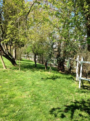 a field with trees and a bench in the grass at Guesthouse Le Pujol in Sainte-Foy-dʼAigrefeuille