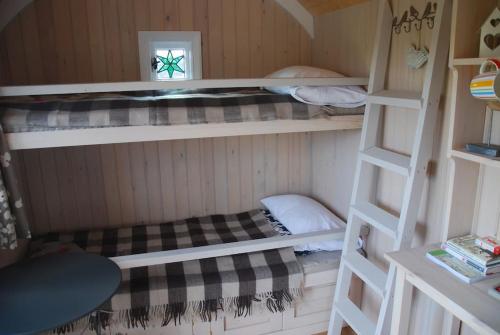 Zimmer mit 2 Etagenbetten in einer Hütte in der Unterkunft Skylark Shepherds Hut in Royal Tunbridge Wells