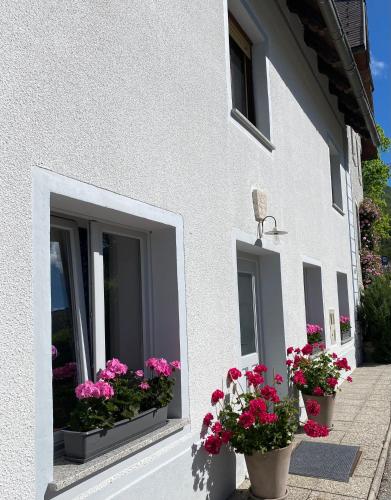 House Natura with garden