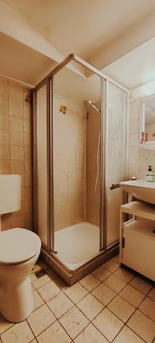 a bathroom with a shower with a toilet and a sink at Spacious & comfortable guestrooms w private bathrooms near Koelnmesse & Lanxess Arena, free parking, highspeed WiFi in Cologne