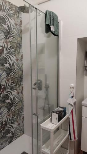 eine Duschkabine mit einer Glastür im Bad in der Unterkunft Bed and breakfast Puer Apuliae in Altamura