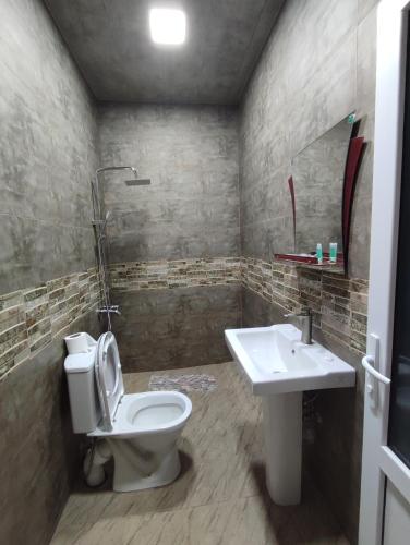 a bathroom with a toilet and a sink at Ananuri Cottages in Ananuri