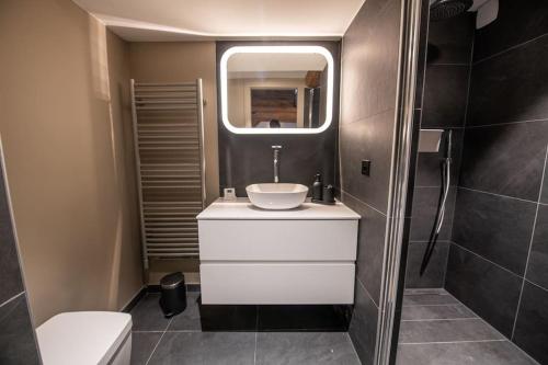 a bathroom with a sink and a toilet and a mirror at La Maison de l'éclusier in Strasbourg