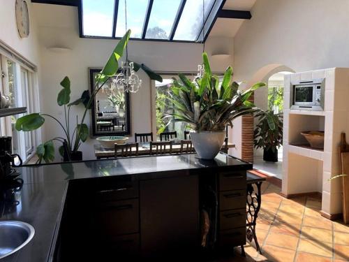 a kitchen with a black counter with plants on it at Landhuis het Woud. max. 11 pers. with private pool in Bergen
