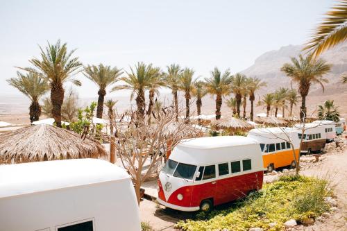 a group of buses parked in front of palm trees at Ein Gedi Camp Lodge in Ein Gedi