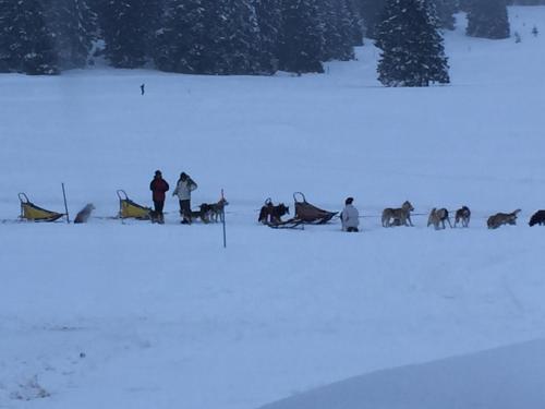 Foto sihtkohas Lavarone asuva majutusasutuse Malga Millegrobbe Nordic Resort galeriist