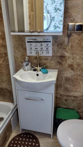 a bathroom with a sink and a toilet and a mirror at Pokoje u Adama i Ewy in Szczawnica