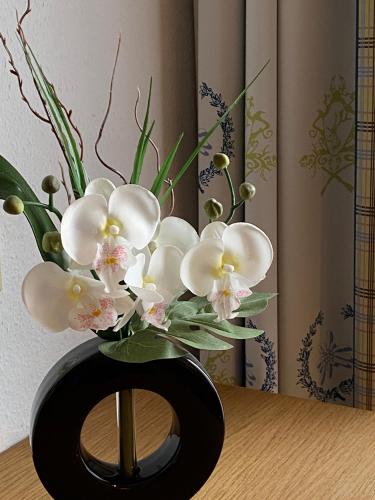 Gambar di galeri bagi Appartement-Hotel Happy Kienberg di Pfronten