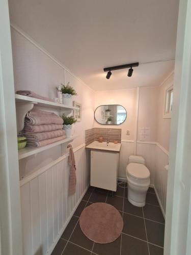 a bathroom with a toilet and a sink at Gästhus på Österlen in Tomelilla