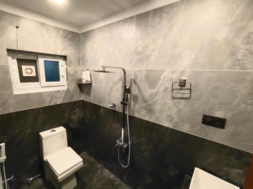 ein Bad mit einer Dusche, einem WC und einem Waschbecken in der Unterkunft BMRAN Luxury serviced apartment in Kochi