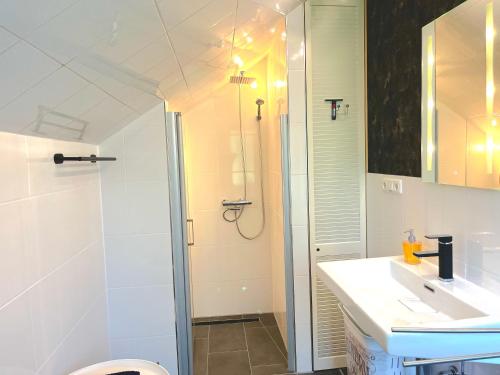a bathroom with a shower and a sink and a toilet at City Apartments in Osterholz-Scharmbeck