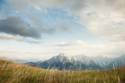 a view of a mountain range with tall grass at Alpenpension Pfurtscheller in Neustift im Stubaital