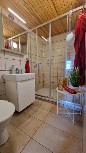 ein Bad mit einer Dusche, einem Waschbecken und einem WC in der Unterkunft Chata Holý Vrch - oáza kľudu a pokoja in Krupina
