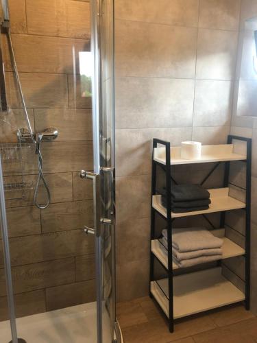 a bathroom with a shower and a glass shower stall at Apartament Modrzewiowa przy S3 in Zielona Góra